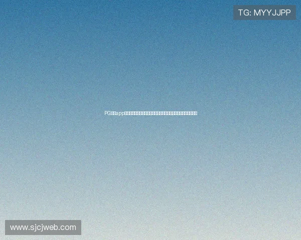 PG娱乐app下载电脑版详细操作教程，助你轻松掌握游戏登录与账号管理技巧